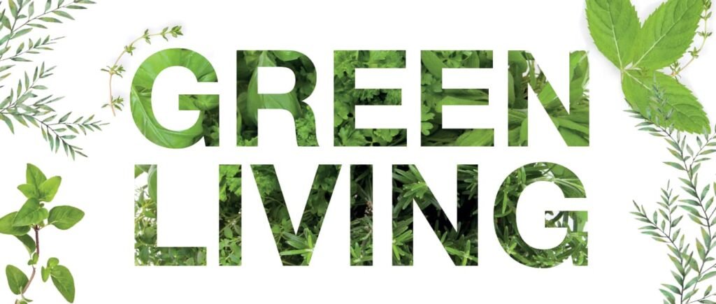 Eco-Friendly Living: Alternatives for a Greener Lifestyle