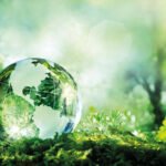 Going Green: Innovative Materials That Are Better For The Planet